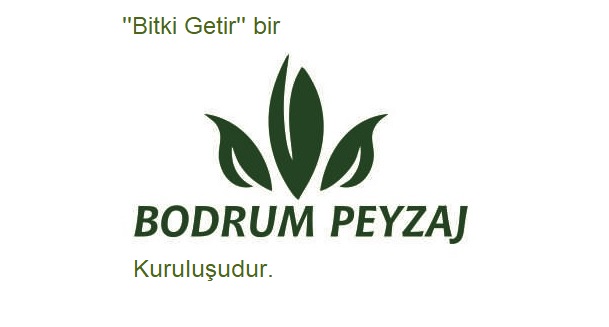 Bodrum Peyzaj